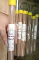 Nhang Trầm Hương Không Tăm Ống Nâu_Cao Cấp thumb 2