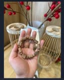 VÒNG TRẦM HẠT TRÚC THÔ_VÒNG MAY MẮN, BÌNH AN thumb 1