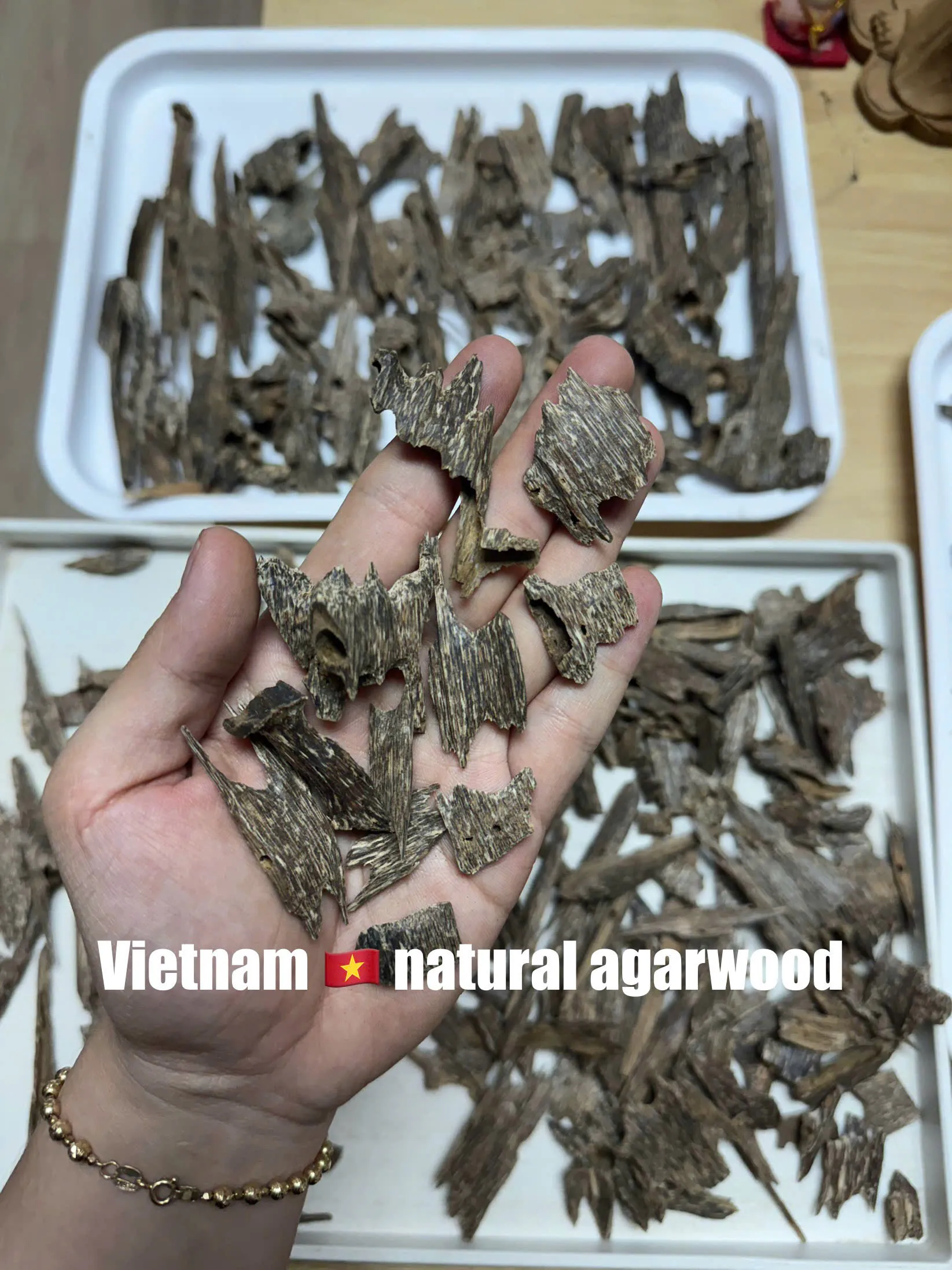 Trầm kiến kim VIP  Trầm hương tự nhiên miếng xông thưởng trầm