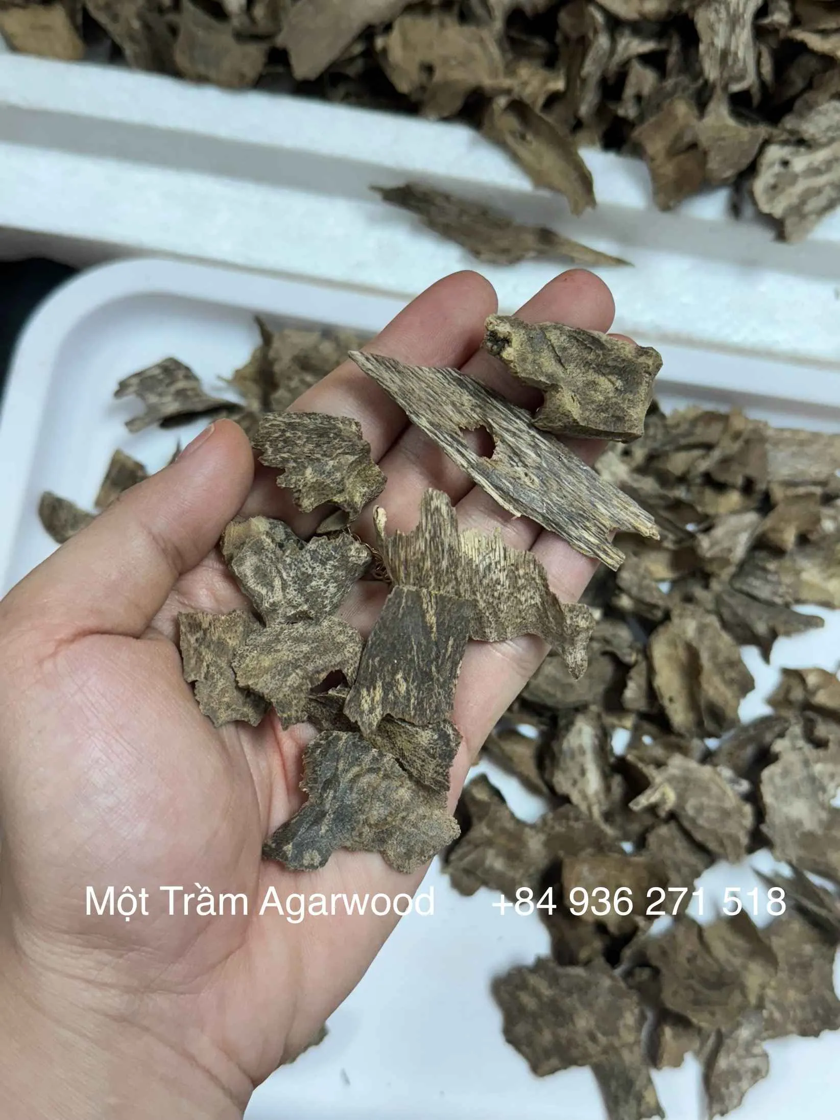 Thượng hạng_ Trầm hương tự nhiên_Trầm vụn khoan, miếng trầm dầu tốt tự nhiên Mộc Trầm Agarwood