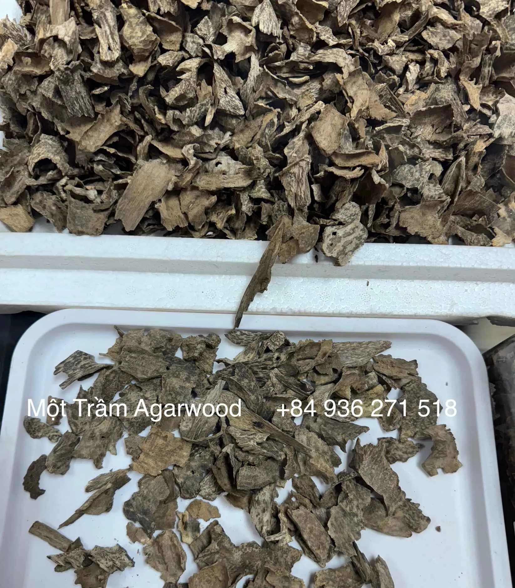 Thượng hạng_ Trầm hương tự nhiên_Trầm vụn khoan, miếng trầm dầu tốt tự nhiên Mộc Trầm Agarwood