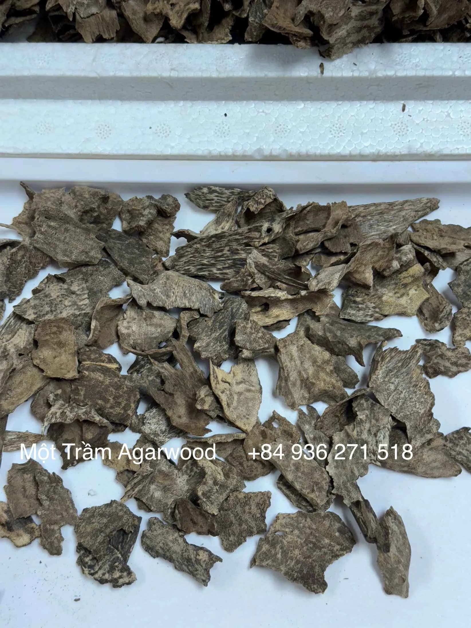 Thượng hạng_ Trầm hương tự nhiên_Trầm vụn khoan, miếng trầm dầu tốt tự nhiên Mộc Trầm Agarwood