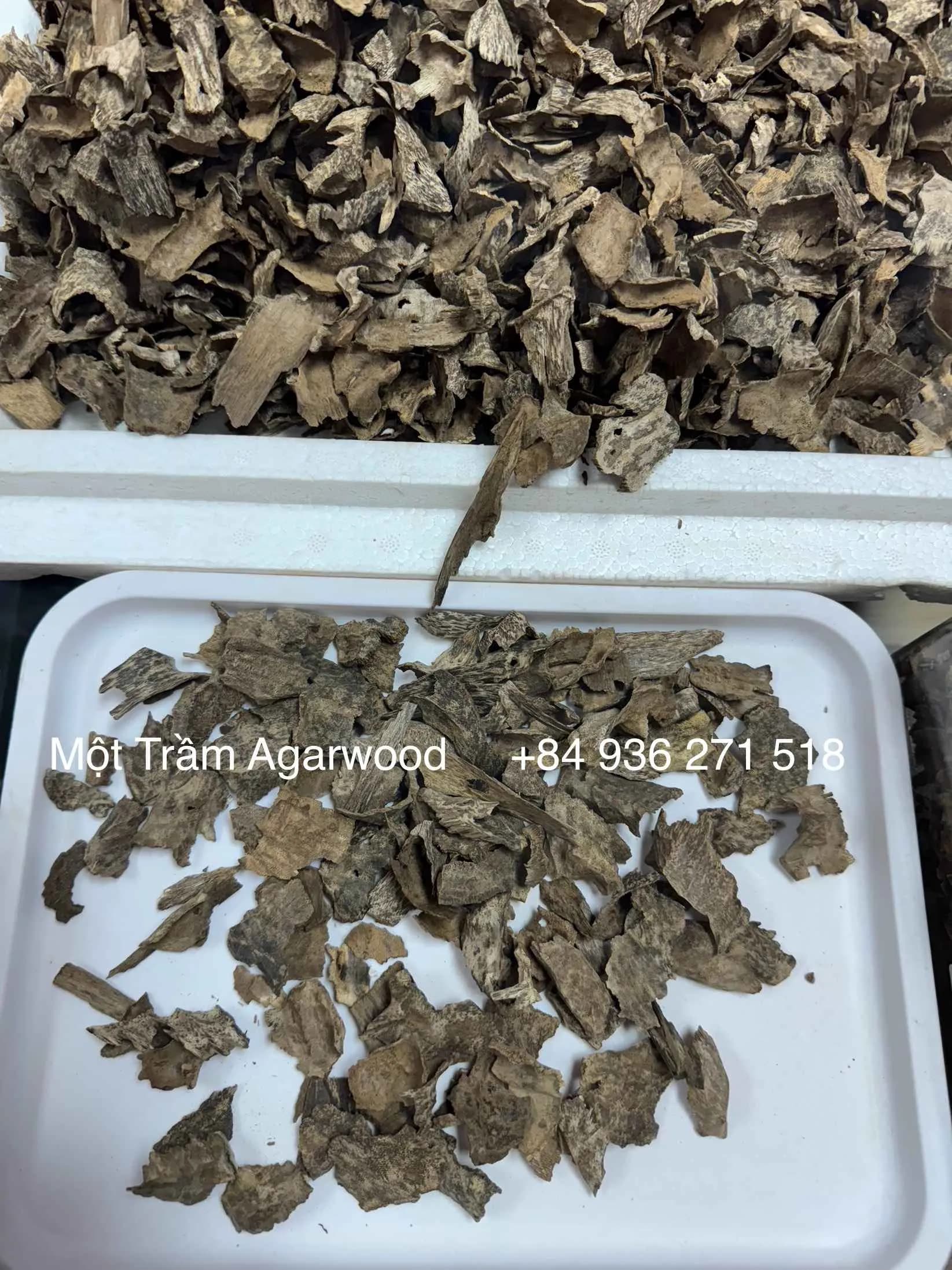 Thượng hạng_ Trầm hương tự nhiên_Trầm vụn khoan, miếng trầm dầu tốt tự nhiên Mộc Trầm Agarwood