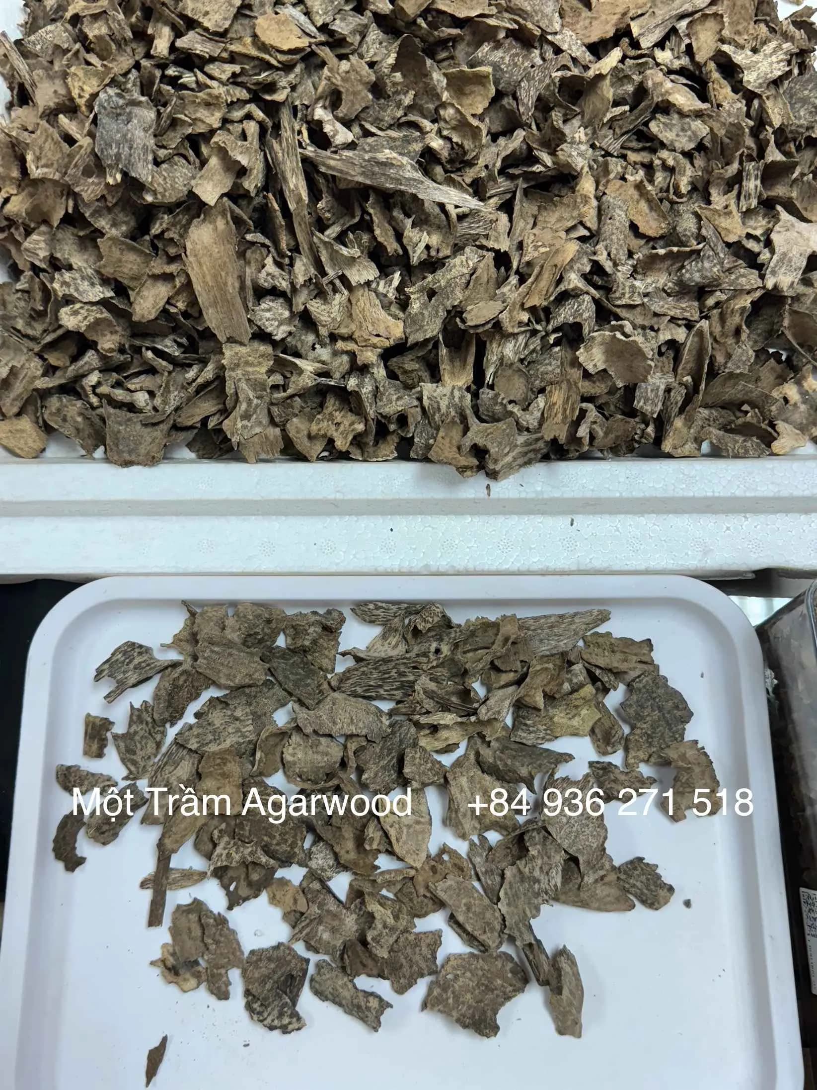 Thượng hạng_ Trầm hương tự nhiên_Trầm vụn khoan, miếng trầm dầu tốt tự nhiên Mộc Trầm Agarwood