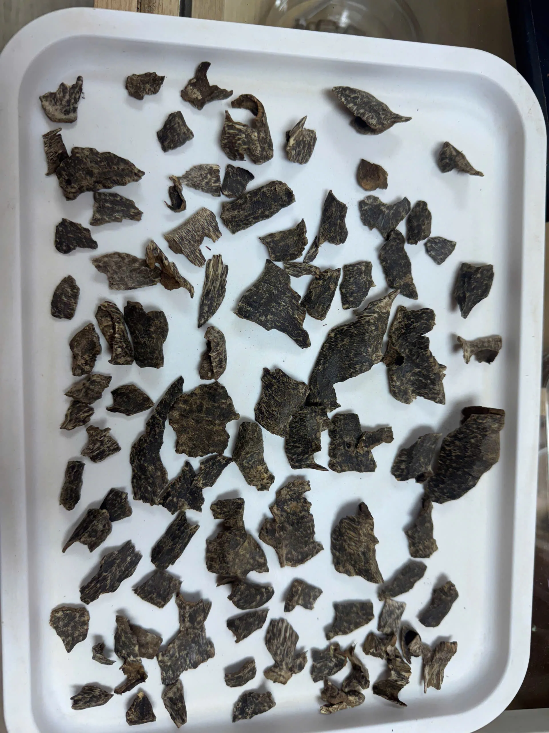 TRẦM HƯƠNG XÔNG VIP từ rừng Nha Trang - Việt Nam, Bộ sưu tập trầm hương rừng tự nhiên