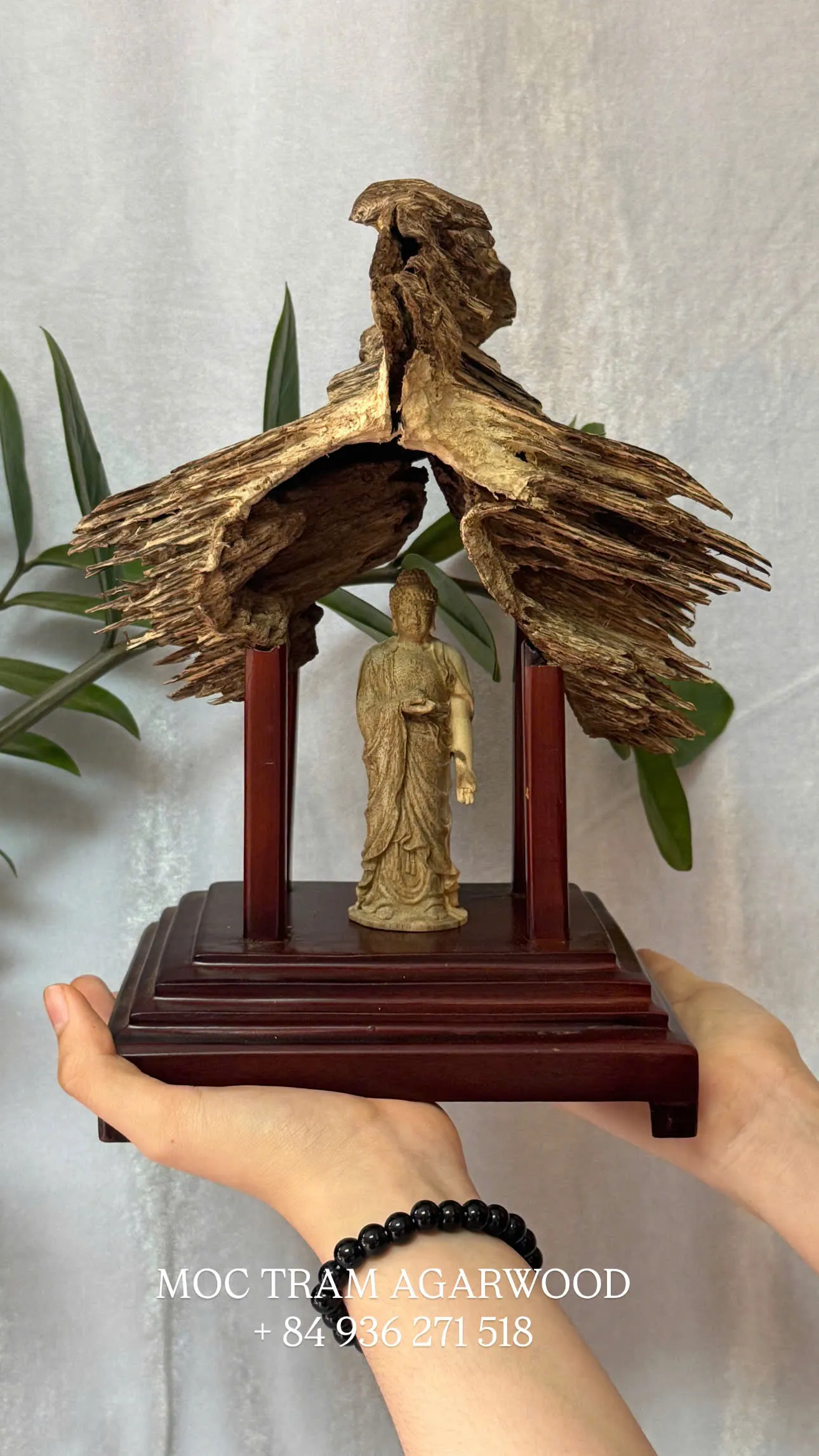 MOC TRAM AGARWOOD - ĐỊA CHỈ CUNG CẤP TRẦM HƯƠNG CẢNH UY TÍN TẠI NHA TRANG - KHÁNH HÒA