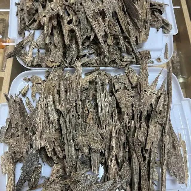 Thượng hạng_Trầm Kiến_Trầm Núi từ Nha Trang 