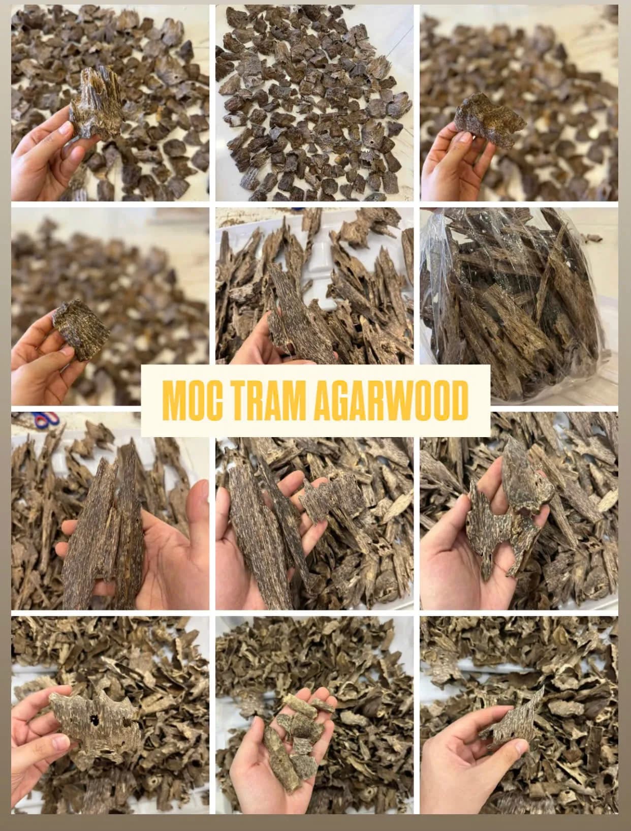 Oud: The Fragrance of Faith and Arab Heritage | Mộc Trầm Agarwood