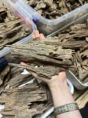 Thượng hạng_Trầm Kiến_Miếng giác trầm hương thiên nhiên thumb 1