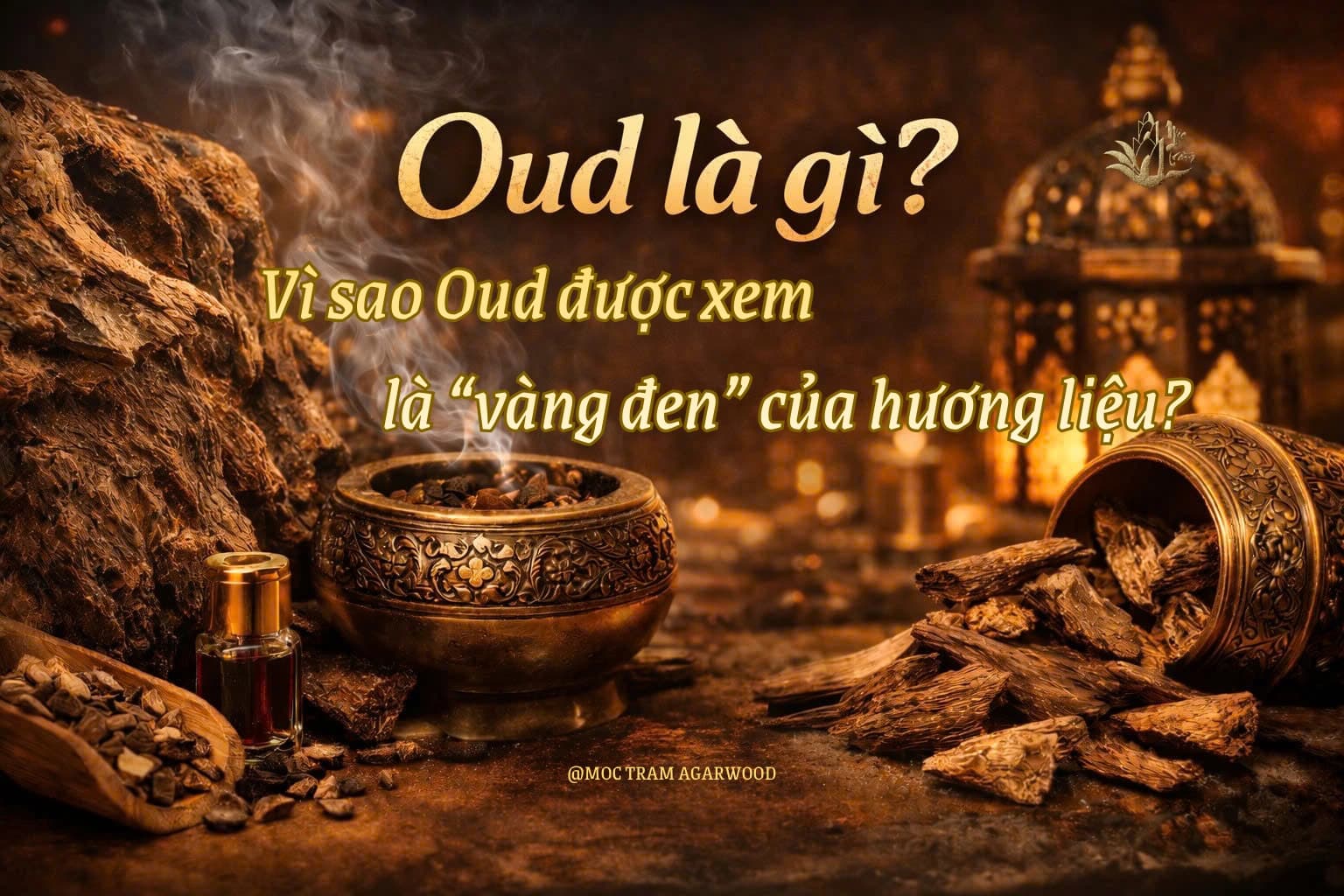Oud là gì? Vì sao Oud được xem là "vàng đen" của hương liệu?