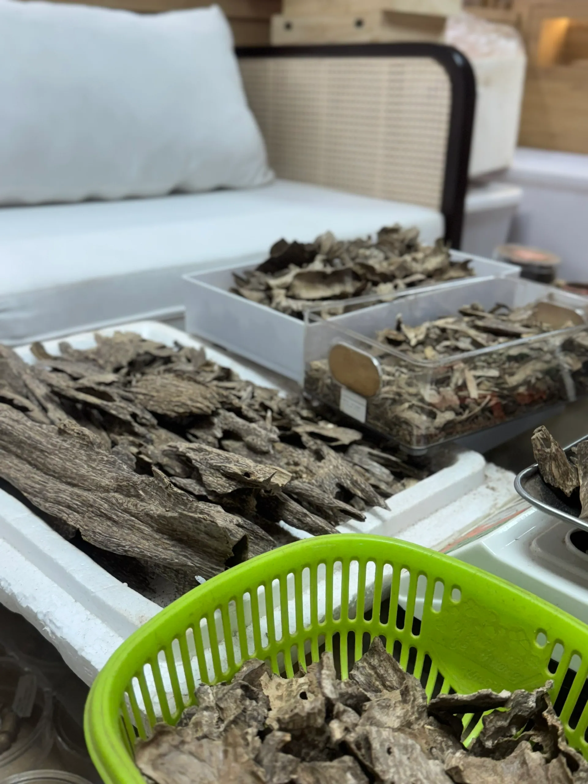 Moc Tram Agarwood – Viet Nam Oud – wholesale oud supplier in Ho Chi Minh City
