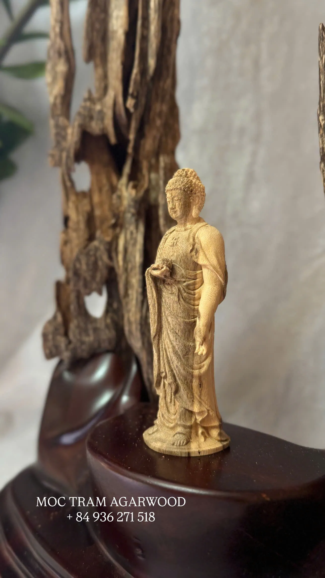 KHỐI TRẦM CẢNH TỰ NHIÊN - TRẦM RỪNG NHA TRANG - MOC TRAM AGARWOOD