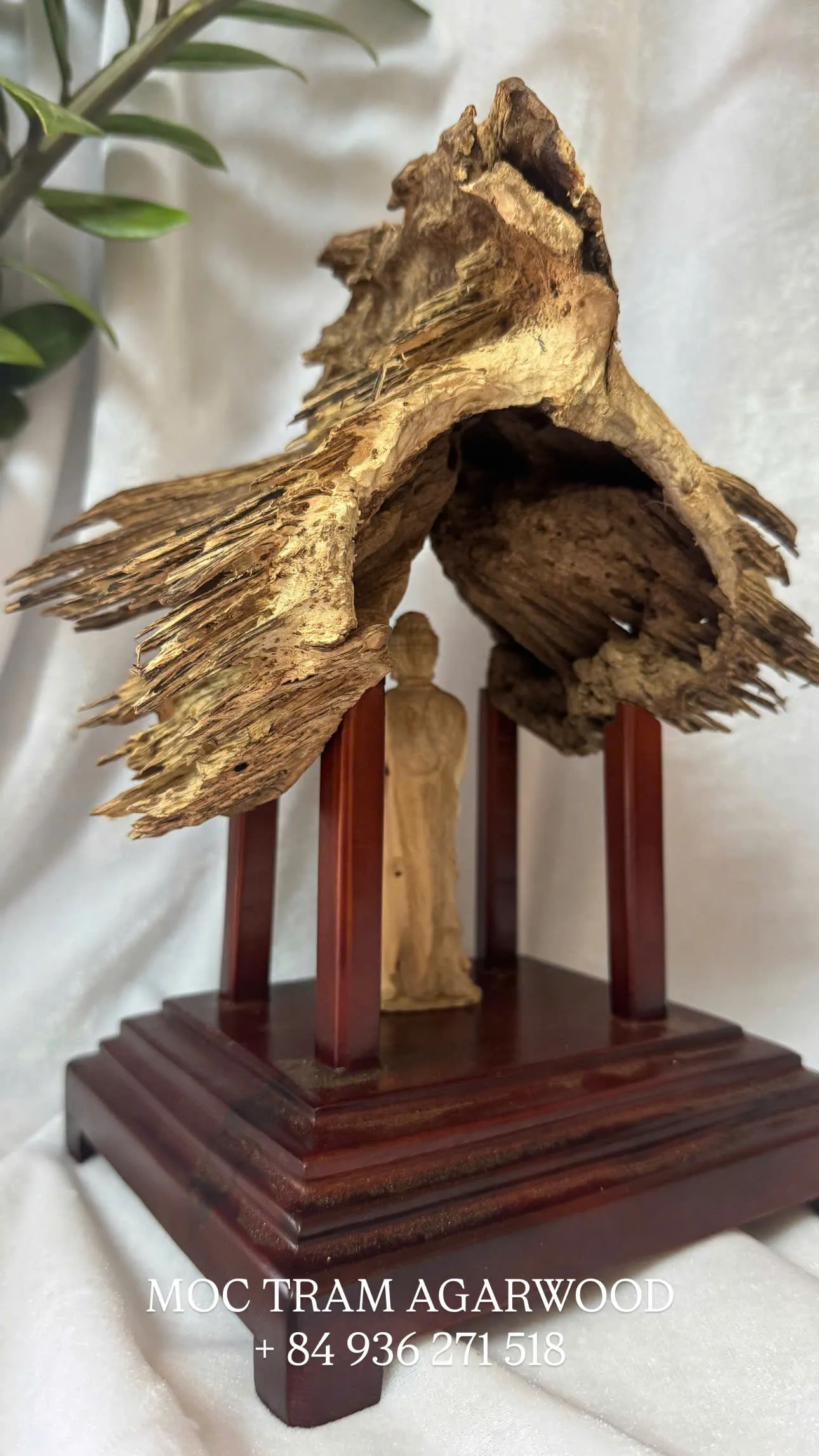 KHỐI TRẦM CẢNH TỰ NHIÊN - TRẦM RỪNG NHA TRANG - MOC TRAM AGARWOOD