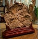 Trầm Hương Cảnh “Nguyệt Quang” – Tinh Hoa Nghệ Thuật Từ Thiên Nhiên thumb 6