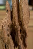 Trầm hương cảnh_Khối trầm hương cảnh trang trí cao 15cm thumb 1