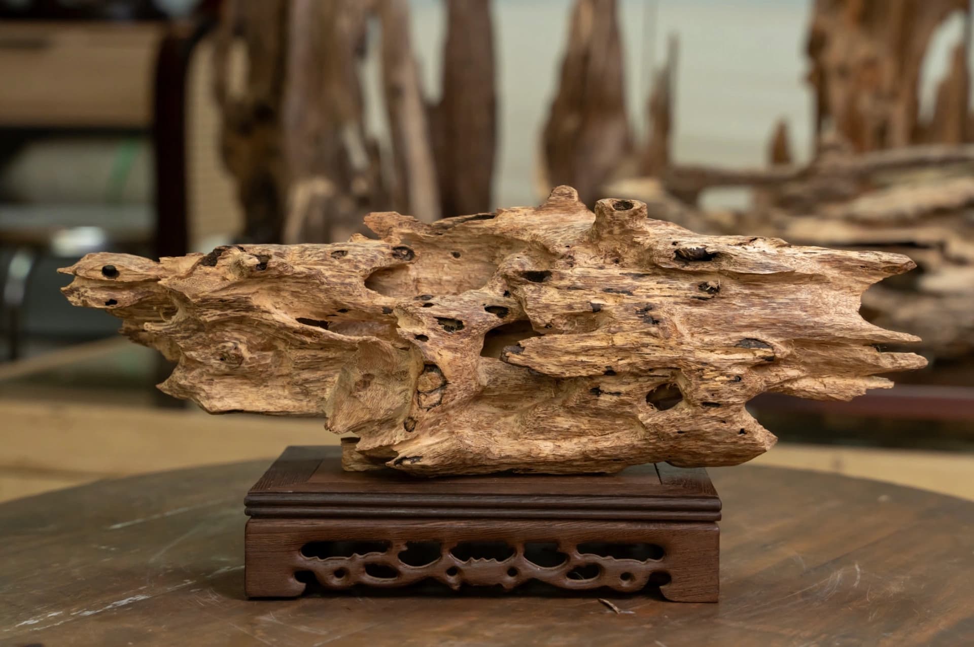 Trầm cảnh tự nhiên - quà tặng, vật trang trí cao cấp Mộc Trầm Agarwood