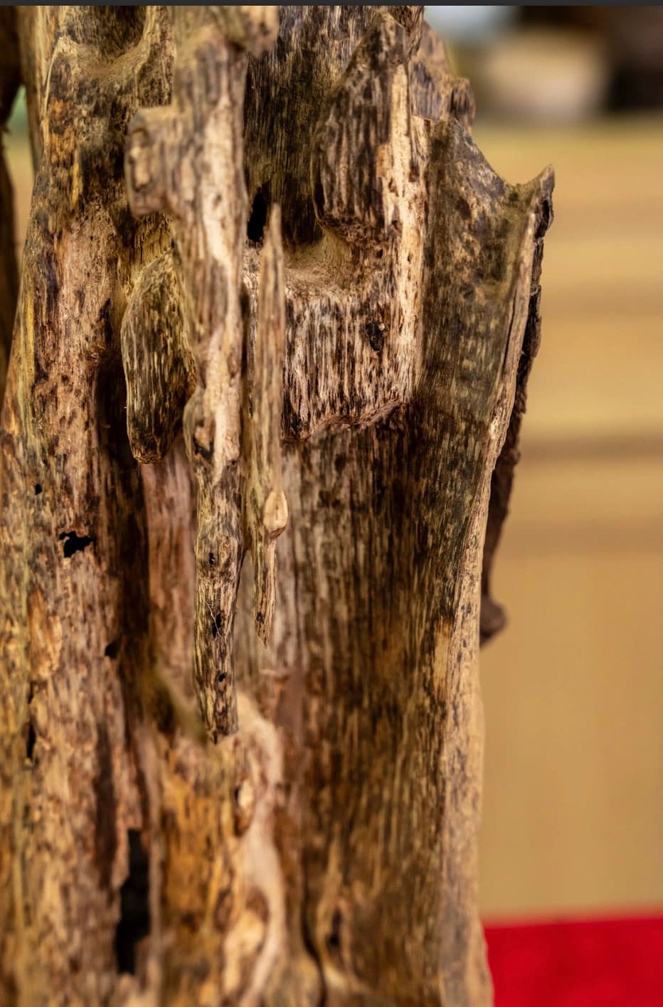 Cảnh trầm hương trang trí phong thuỷ_Trầm trang trí nhà cửa 47cm