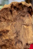 Khối trầm trang trí nhà cửa, không gian phòng, quà tặng thiên nhiên Mộc Trầm Agarwood thumb 1