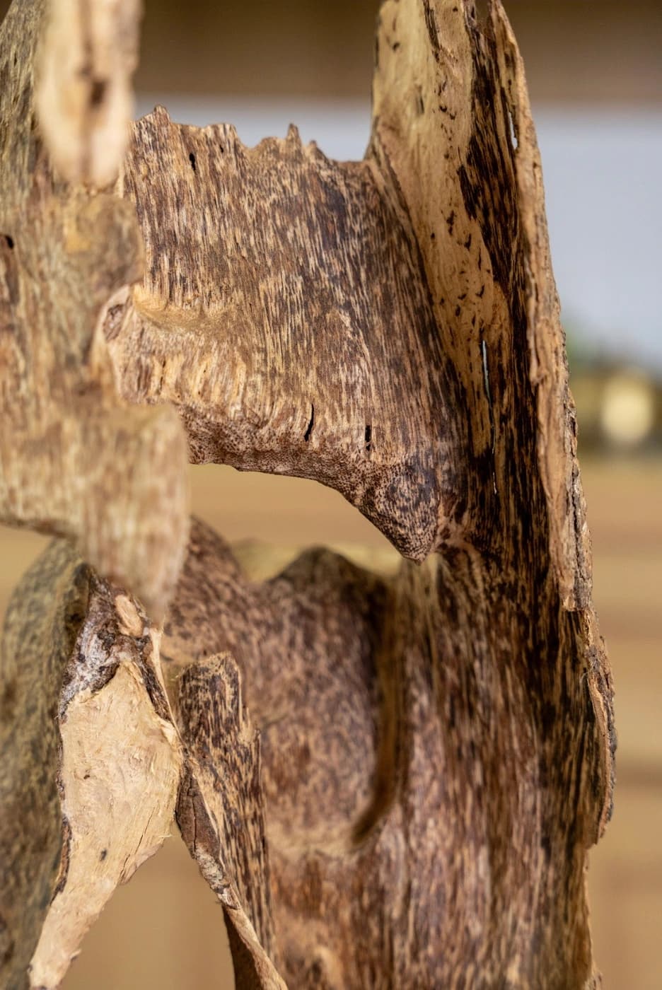 KHỐI TRẦM RỪNG TRANG TRÍ - TRẦM HƯƠNG RỪNG NHA TRANG - MOC TRAM AGARWOOD