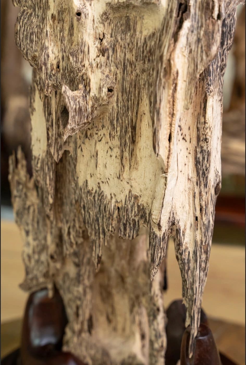 Trầm Cảnh Nguyên Khối Tự Nhiên Cao 87cm – Trầm Hương Cảnh Phong Thủy Cao Cấp Việt Nam